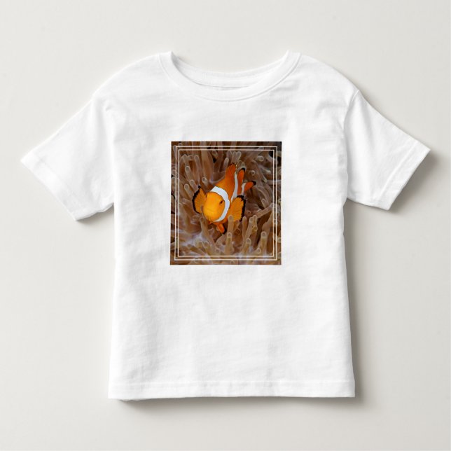 Clownfish - Molokai, North Shore Cliff Toddler T-Shirt (Front)