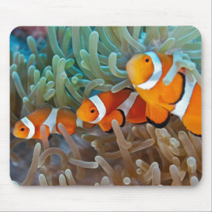 Clownfish Mouse Pad