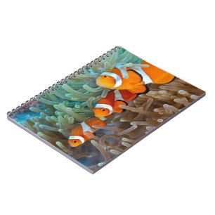 Clownfish Notebook
