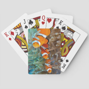 Clownfish Playing Cards