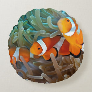 Clownfish Round Cushion