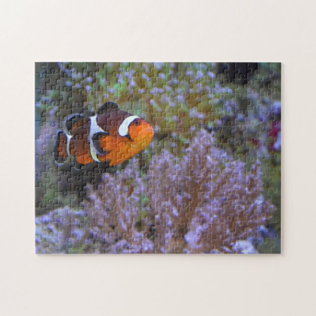 Clownfish Sea Anemone Coral Underwater photograph Jigsaw Puzzle (Horizontal)
