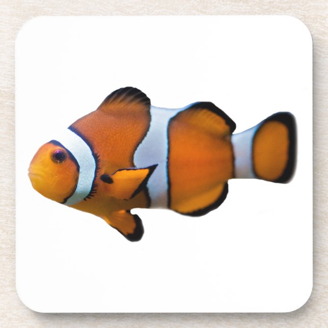 Clownfish Set of 6 Coasters (Front)