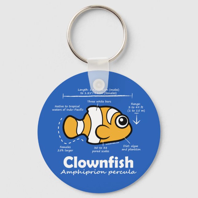 Clownfish Statistics Key Ring (Front)