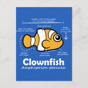 Clownfish Statistics Postcard