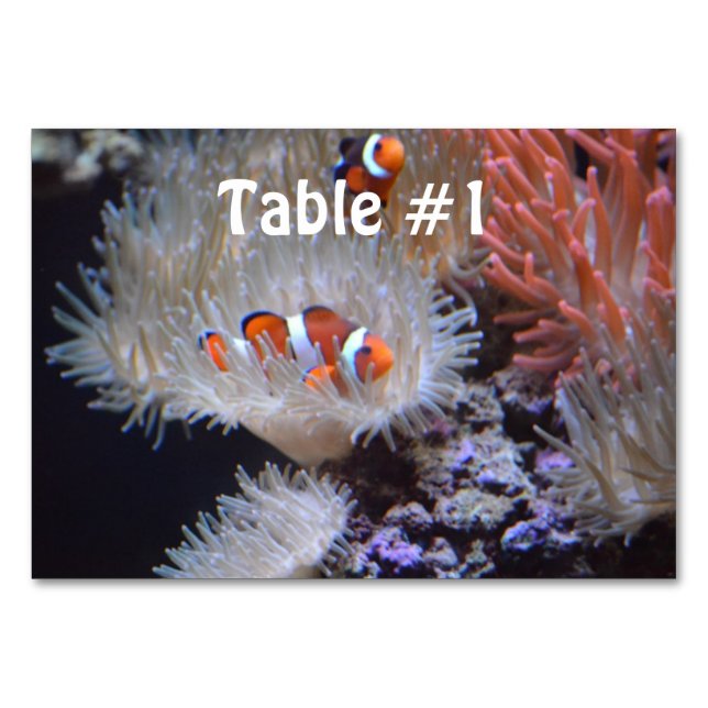Clownfish Table Number (Front)