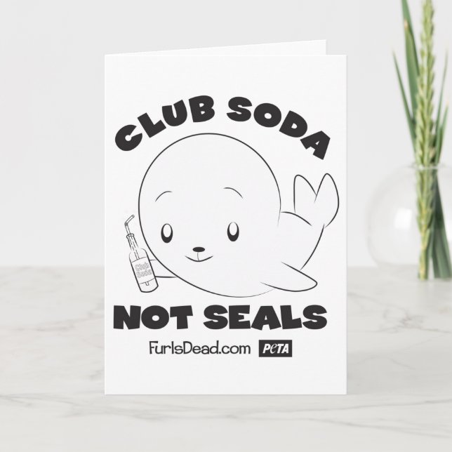 Club Soda, Not Seals Card (Front)
