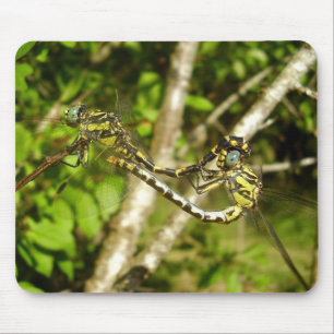 Club-tailed Dragonflies Mating Mouse Mat