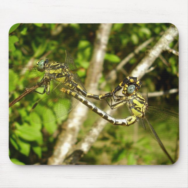 Club-tailed Dragonflies Mating Mouse Mat (Front)