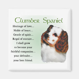 Clumber Spaniel Gifts Magnet
