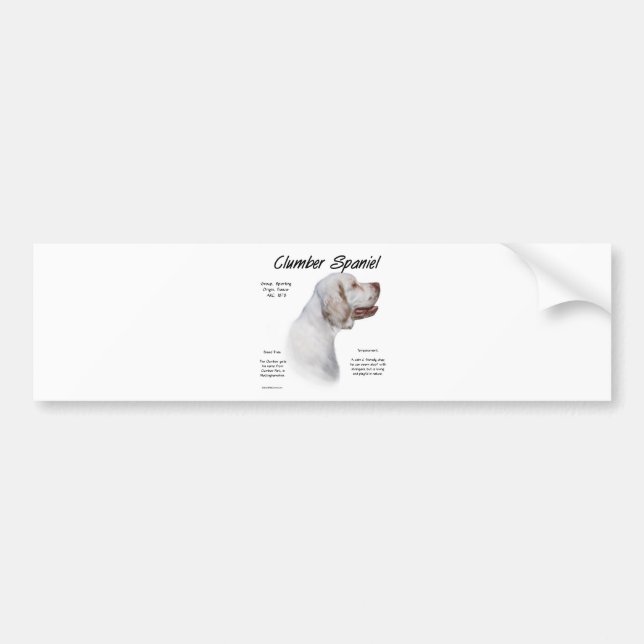 Clumber Spaniel History Design Bumper Sticker (Front)
