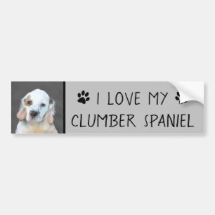 Clumber Spaniel Painting - Cute Original Dog Art Bumper Sticker