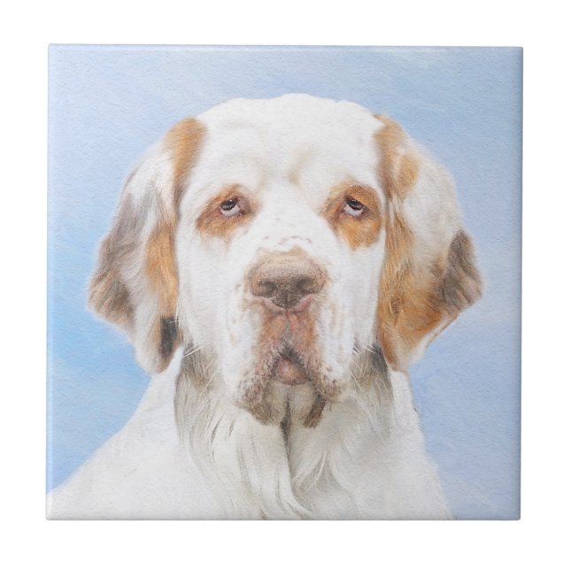 Clumber Spaniel Painting - Cute Original Dog Art Ceramic Tile (Front)