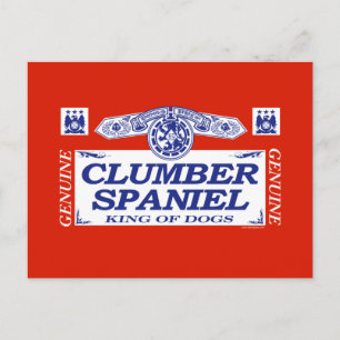 Clumber Spaniel Postcard