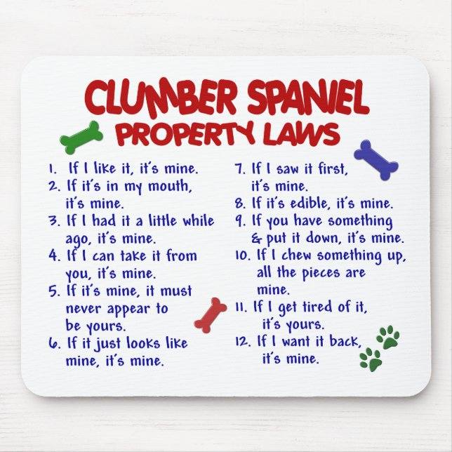 CLUMBER SPANIEL Property Laws 2 Mouse Pad (Front)