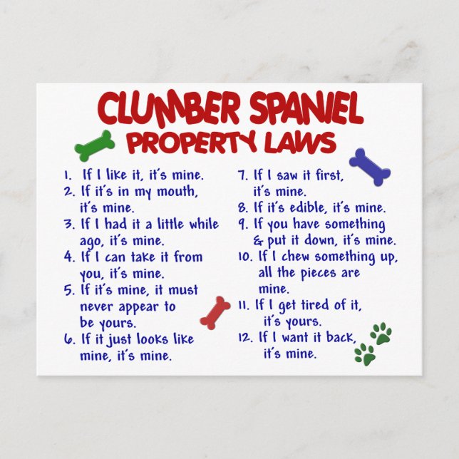 CLUMBER SPANIEL Property Laws 2 Postcard (Front)