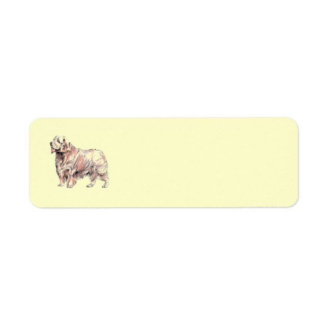 Clumber Spaniel Return Address Label (Front)
