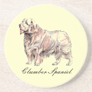 Clumber Spaniel Sandstone Coaster
