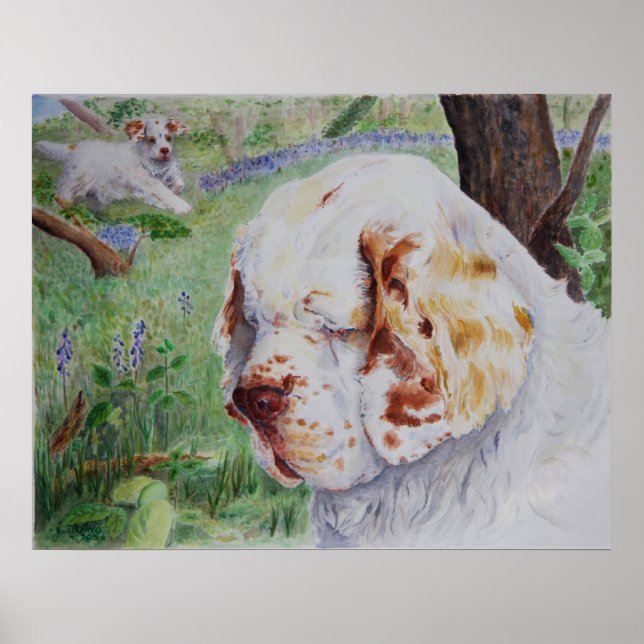Clumber Spaniel - Spring Woodland print (Front)