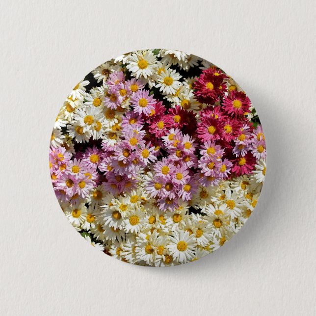 Clump of chrysanthemums 6 cm round badge (Front)