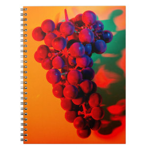 Cluster of blue grape in orange neon light. Food b Notebook