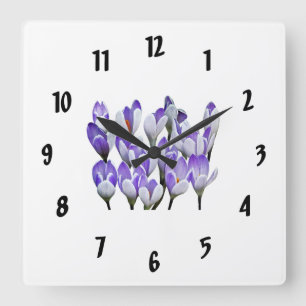 Cluster of Crocuses Square Wall Clock