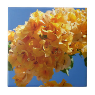 Cluster of Golden Bougainvillea Floral Tile