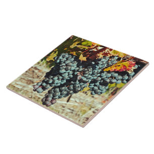 "CLUSTER OF GRAPES DANGLING FROM VINE" CERAMIC TIL TILE