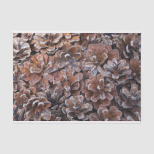 Cluster of Pine Cones Tissue Paper