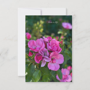 Cluster of Pink Roses Card