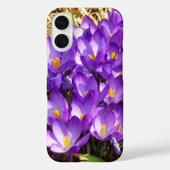 Cluster of Purple Crocuses Spring Floral Case-Mate iPhone Case (Back)
