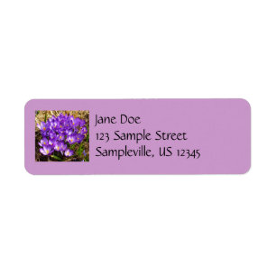 Cluster of Purple Crocuses Spring Floral Return Address Label