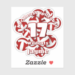 cluster of red white volleyballs team name