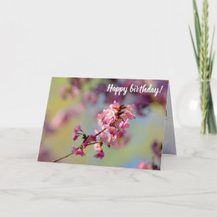 Cluster Of Sakura Blossoms On Green, Blue, Purple Card