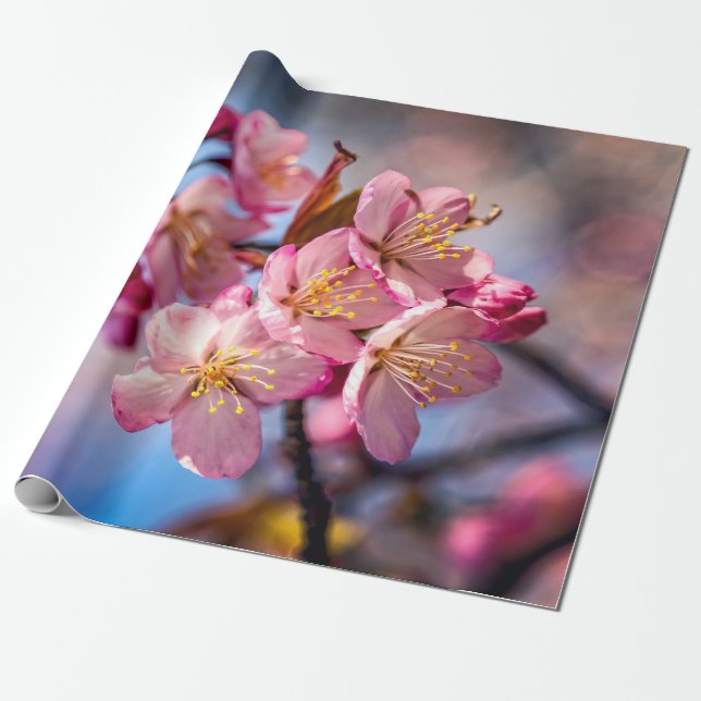 Cluster Of Sakura Cherry Blossoms In The Wind Wrapping Paper (Unrolled)