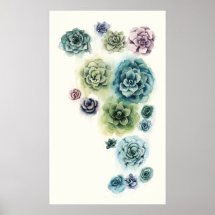 Cluster of Succulents Poster