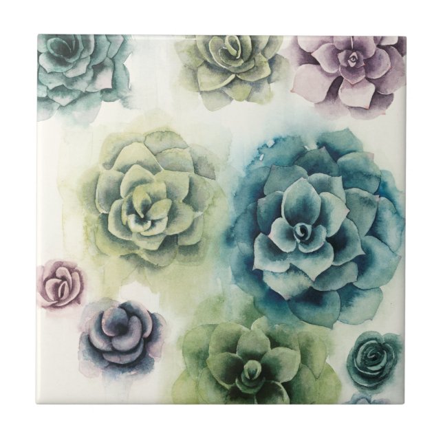 Cluster of Succulents Tile (Front)