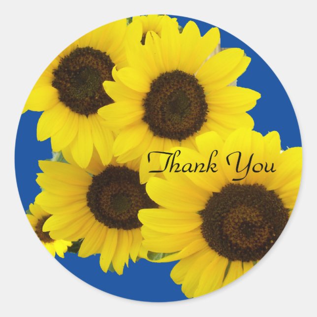 Cluster of Sunflowers on Blue Thank You Classic Round Sticker (Front)