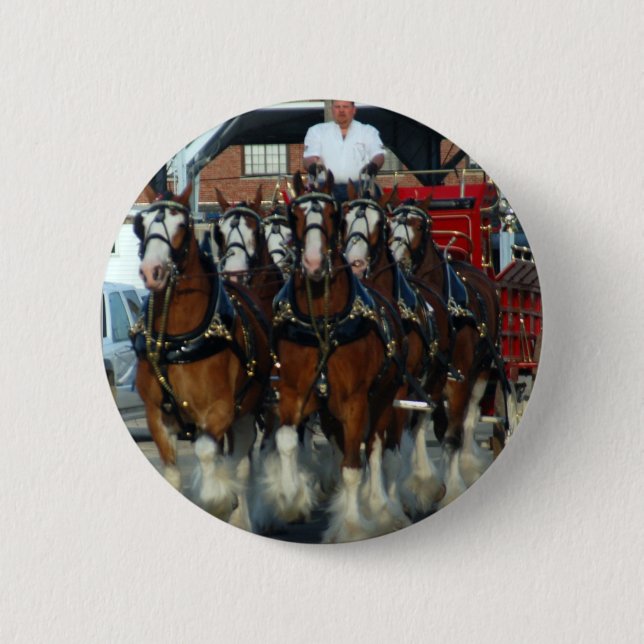 Clydesdale 6 horse hitch 6 cm round badge (Front)