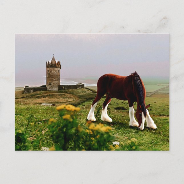 Clydesdale Castle Postcard (Front)