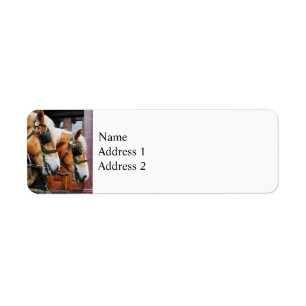 Clydesdale Closeup Return Address Label