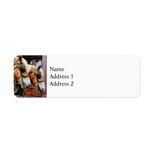 Clydesdale Closeup Return Address Label (Front)