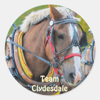 Clydesdale Draught Horse Equine Art Stickers