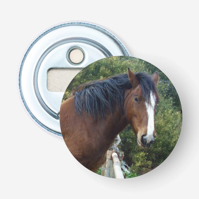 Clydesdale Horse ,Magnetic Bottle Opener (Front)