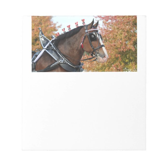 Clydesdale Horse Notepad (Front)