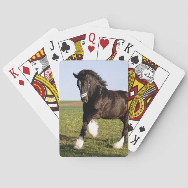 Clydesdale Horse  Playing Cards (Back)