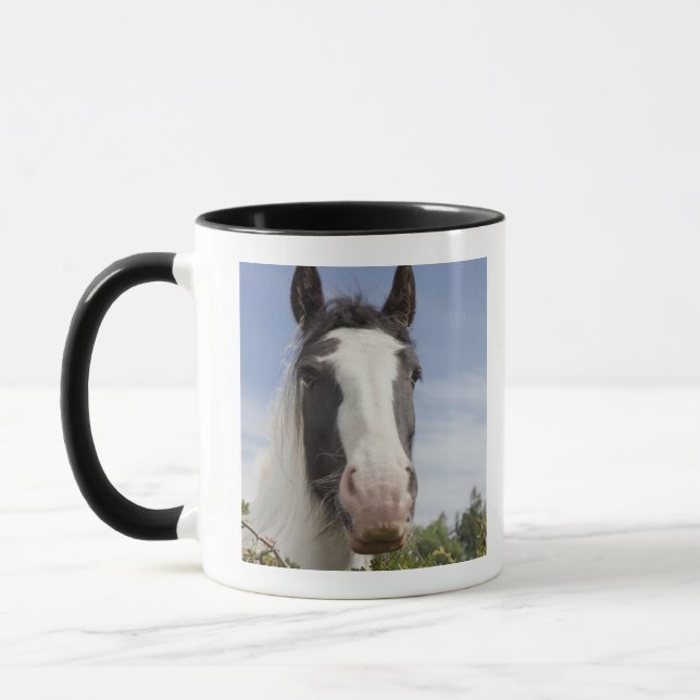 Clydesdale horse portrait mug (Left)