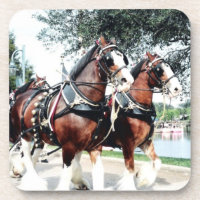 Clydesdale Horses