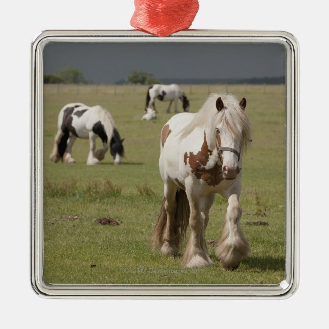 Clydesdale horses in a field, Northumberland, Metal Ornament (Front)
