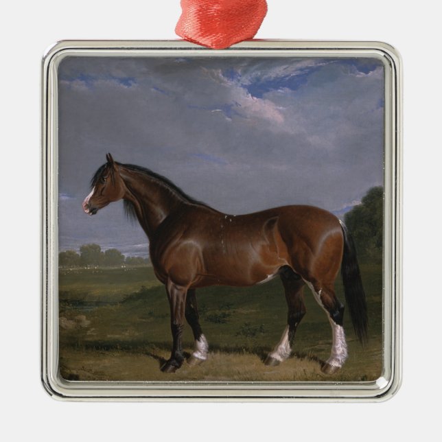 Clydesdale Stallion (Thoroughbred Horse) (Animal) Metal Ornament (Front)